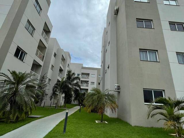 #962 - Apartamento para Locação em Lucas do Rio Verde - MT