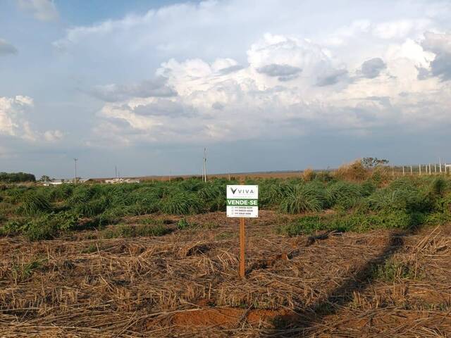 #1301 - Terreno para Venda em Lucas do Rio Verde - MT